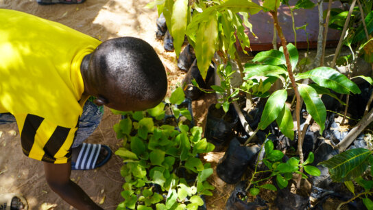 #7 Agriculture in the Face of Climate Change in West Africa