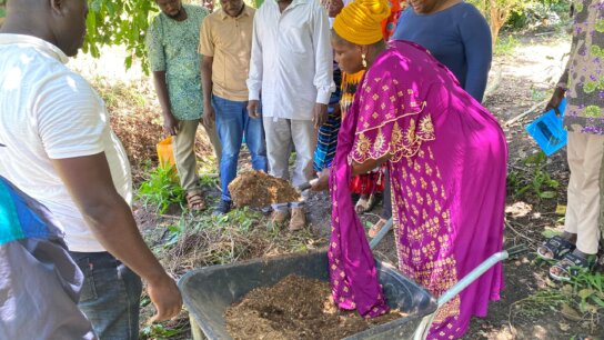 Women at the Heart of Agroecological Transitions: Lessons from Central Gonja District, Ghana